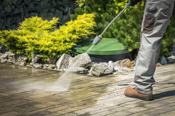  Gasport, NY Pressure Washing Pros