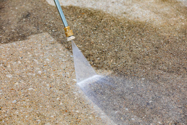 Best Roof Cleaning and Mildew Removal in Gasport, NY